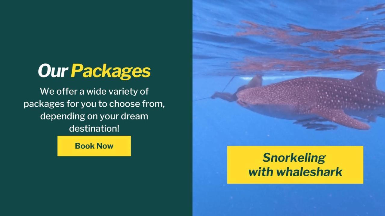 Whale shark private trip in Sumbawa Besar, Indonesia