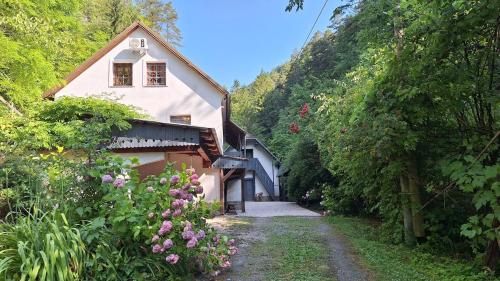 Vila Anton 21613871 — Dobrna