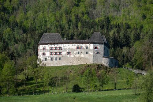 Ferienwohnung Nagerlhof — Piding — photo 5