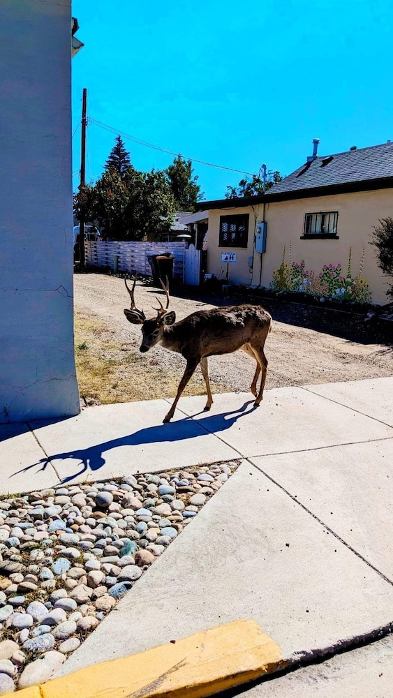 Browns Canyon Inn - photo 40