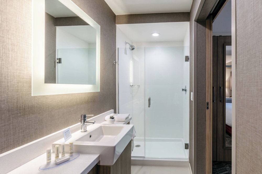 SpringHill Suites by Marriott Columbia - photo 20