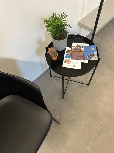 Vento e salsedine in Marsala, Italy