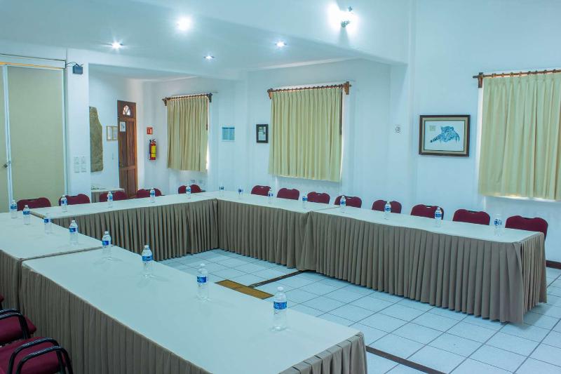 Conferences