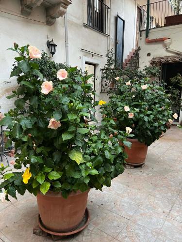Bellini Space 3 — 4-Star Luxury Hotel in Catania, Italy
