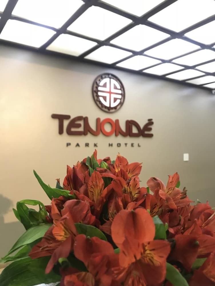 Tenonde Park Hotel — Santo Angelo — photo 3
