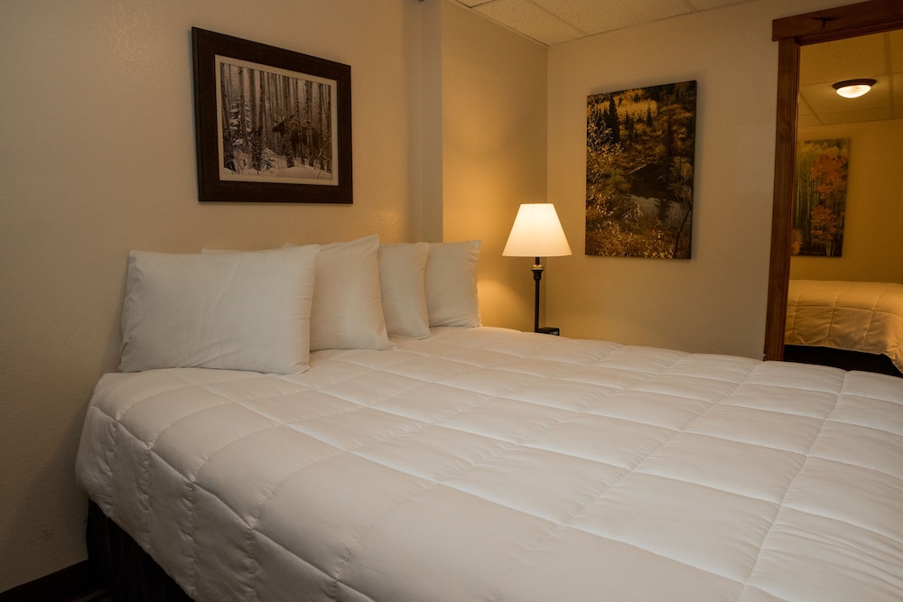 Silver Moon Inn - photo 5