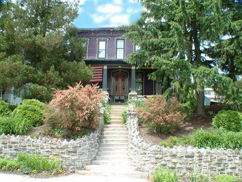 Amethyst Inn - photo 3