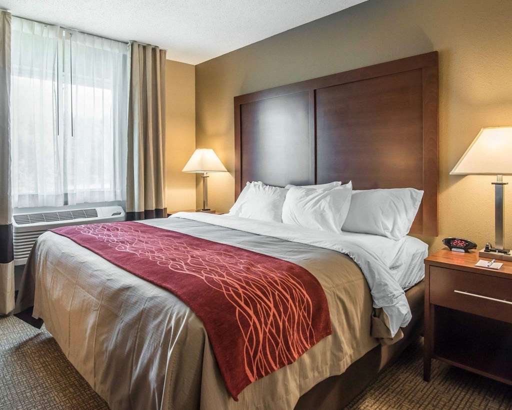 Comfort Inn Saugerties - photo 24