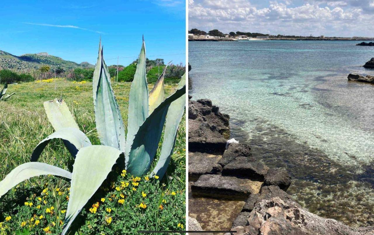 Corallino ai Calamoni at my place in Favignana, Italy
