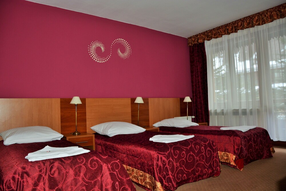 Hotel Boruta — Zakopane — photo 4