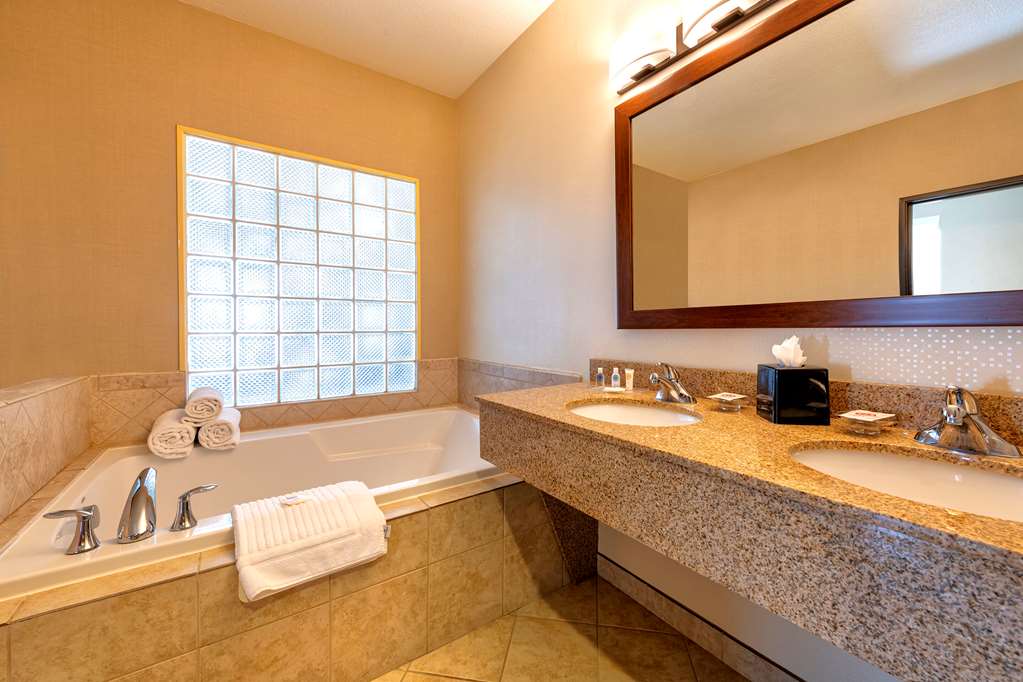 Comfort Suites Goodyear West Phoenix - photo 40