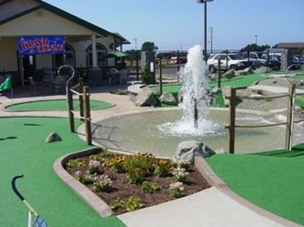 Emerald Dolphin Inn & Mini Golf - photo 41