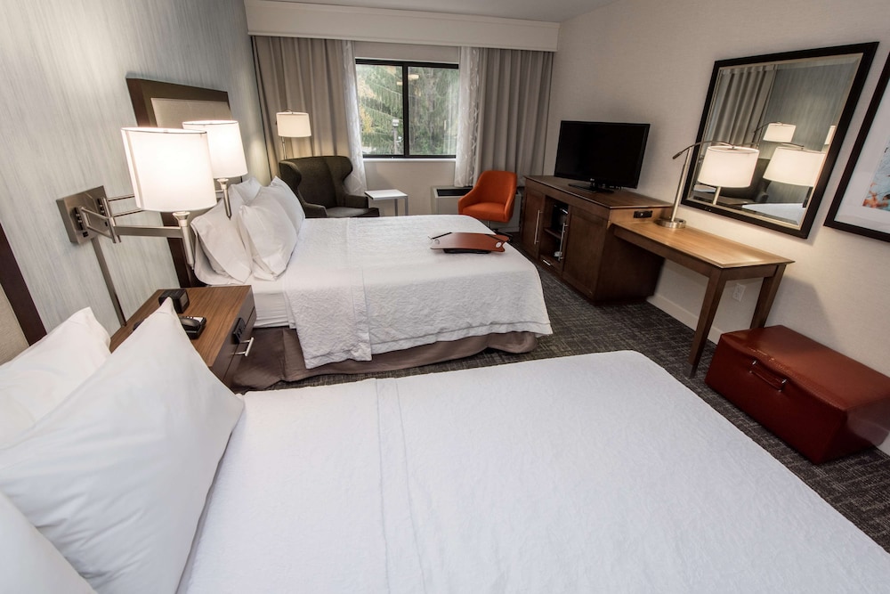 Hampton Inn Albany Western Ave University Area - photo 13