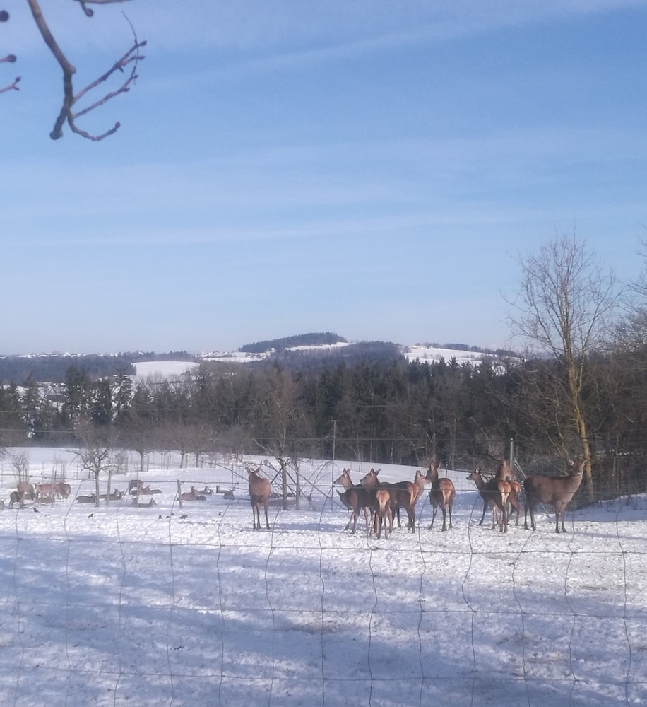 Land view from property