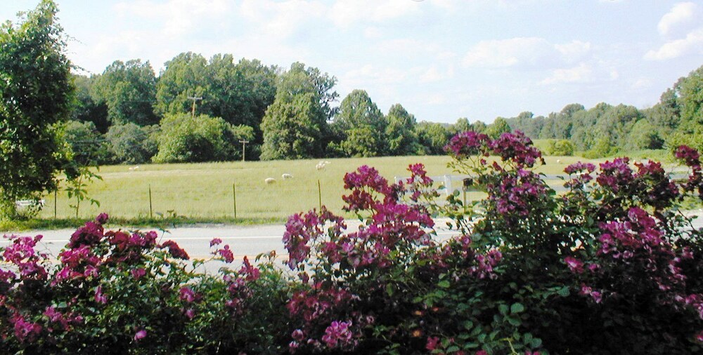 The Columbia Inn at Peralynna Manor - photo 67
