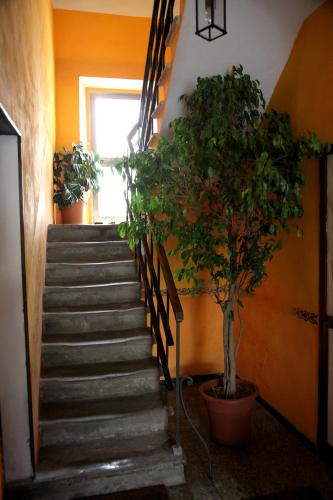 Affittacamere La Rosa — Lucca — photo 3