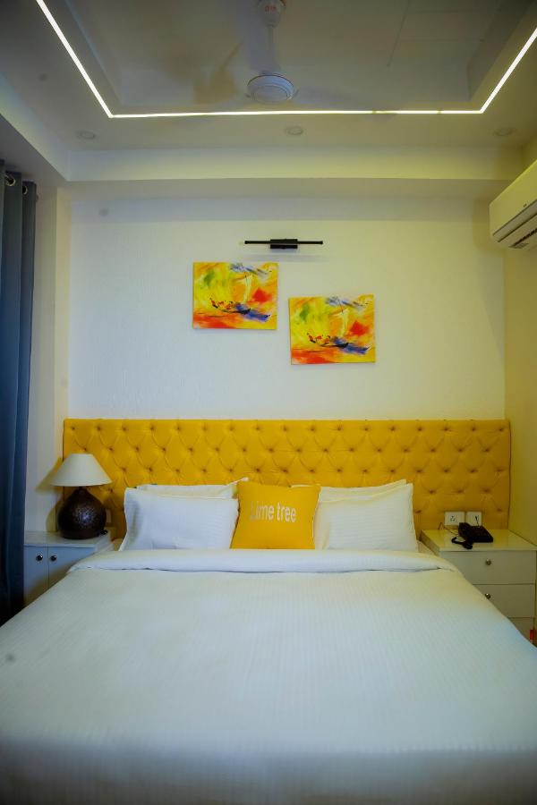 Lime Tree Luxury Studio Service Apartment Near Artemis Hospital Gurgaon