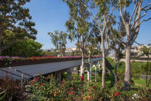 416 Dahlia - photo 12