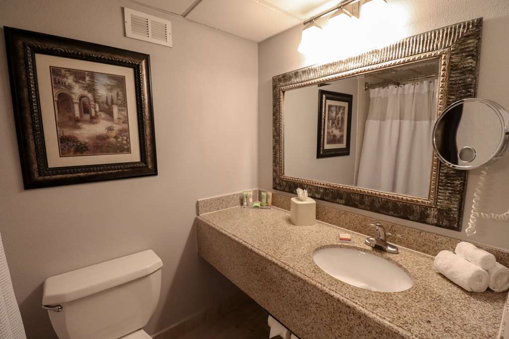 Wyndham Houston near NRG Park Medical Center - photo 27