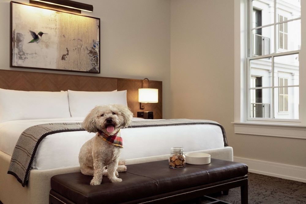 The Harpeth Franklin Downtown Curio Collection by Hilton - photo 28