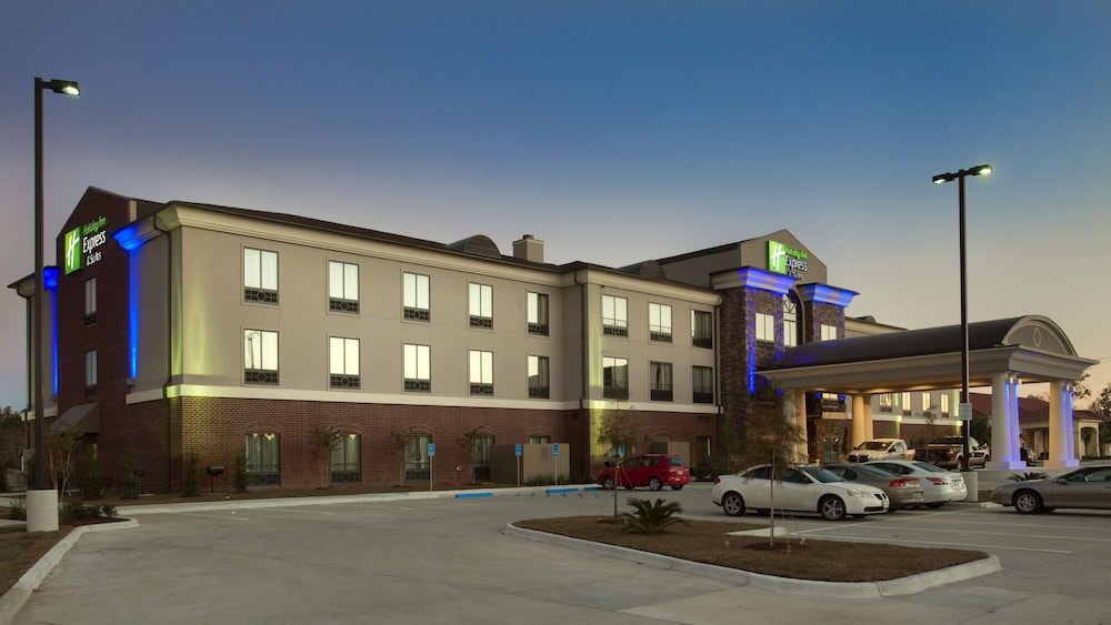 Holiday Inn Express Hotel & Suites Morgan City Tiger Island by IHG - photo 2