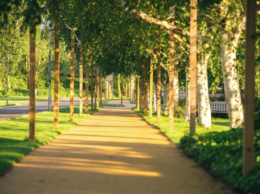 The Willows Training Centre in Saint Neots, United Kingdom