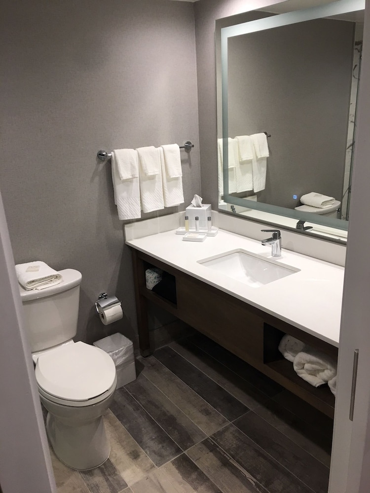 Hilton Peachtree City Atlanta Hotel & Conference Center - photo 37