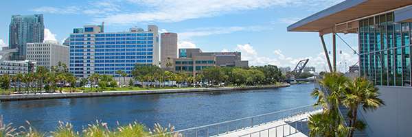 The Barrymore Hotel Tampa Riverwalk - photo 16