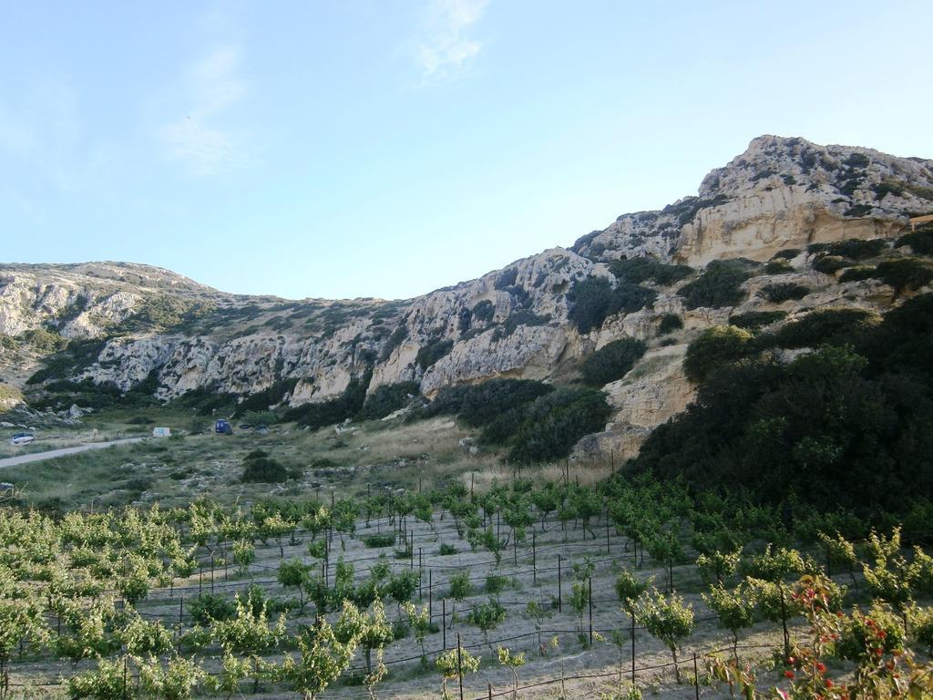 Xenios Dias — Zaros — photo 2