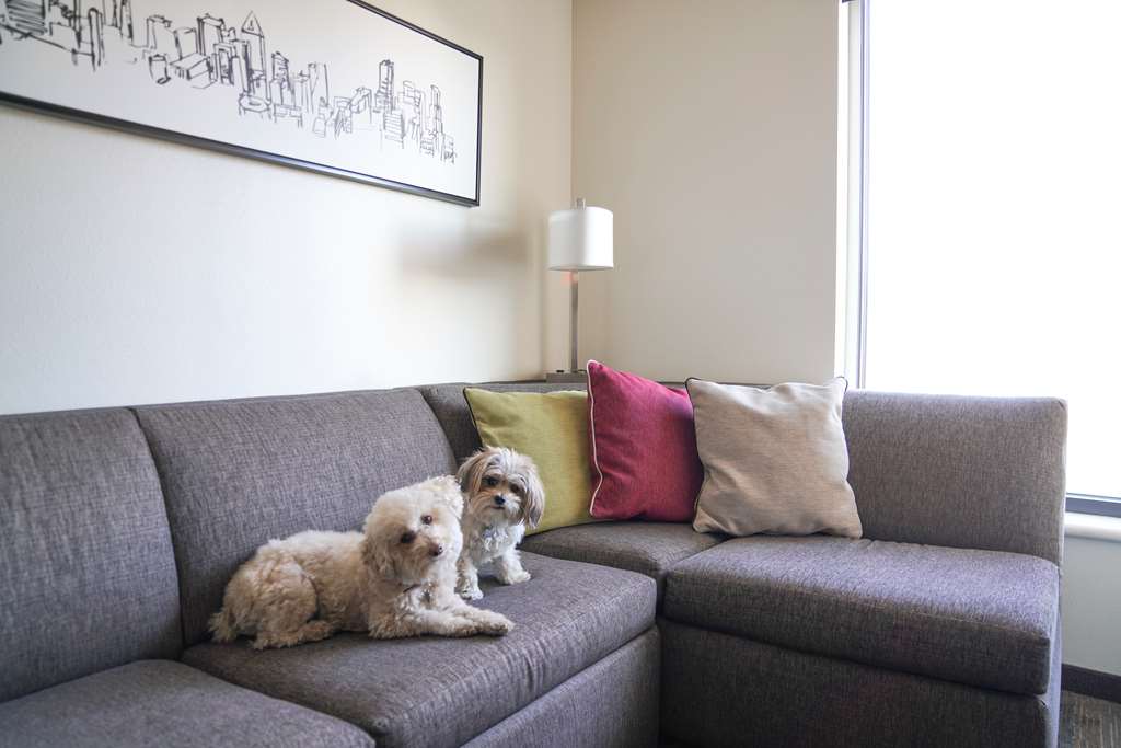 Hyatt House Denver Downtown - photo 30