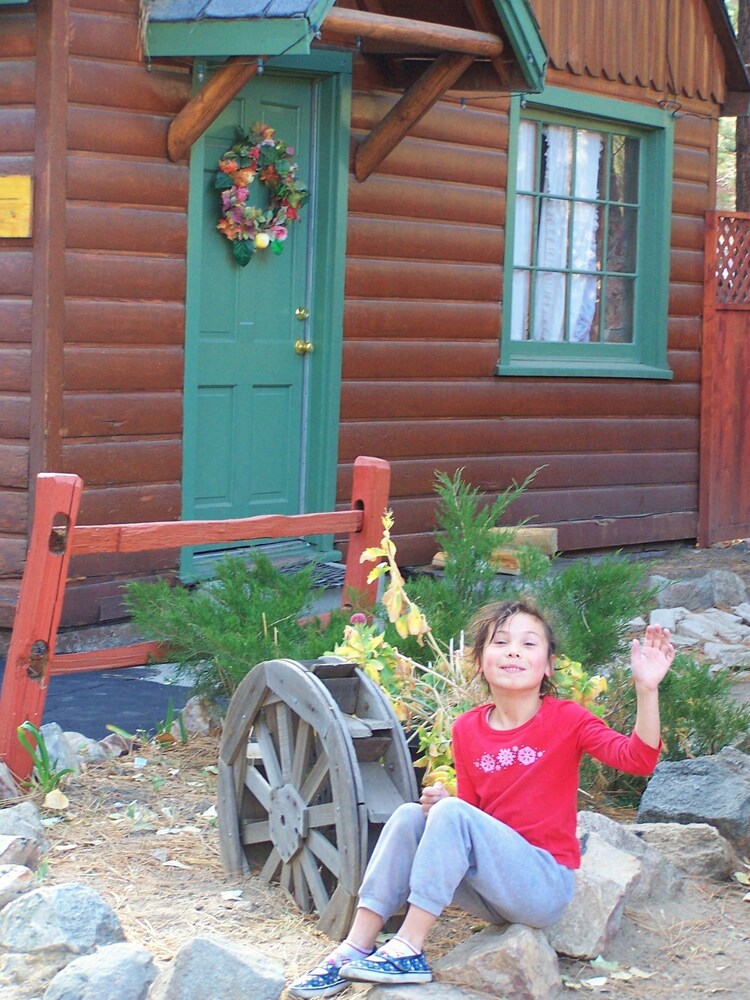 Golden Bear Cottages - photo 64