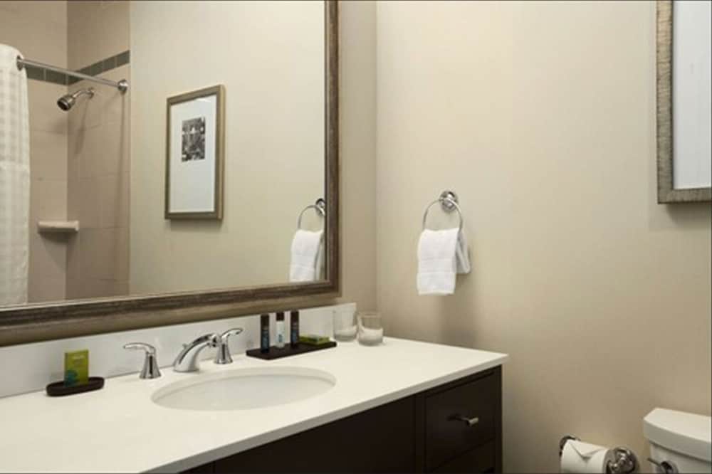 Embassy Suites by Hilton St. Louis Downtown - photo 27