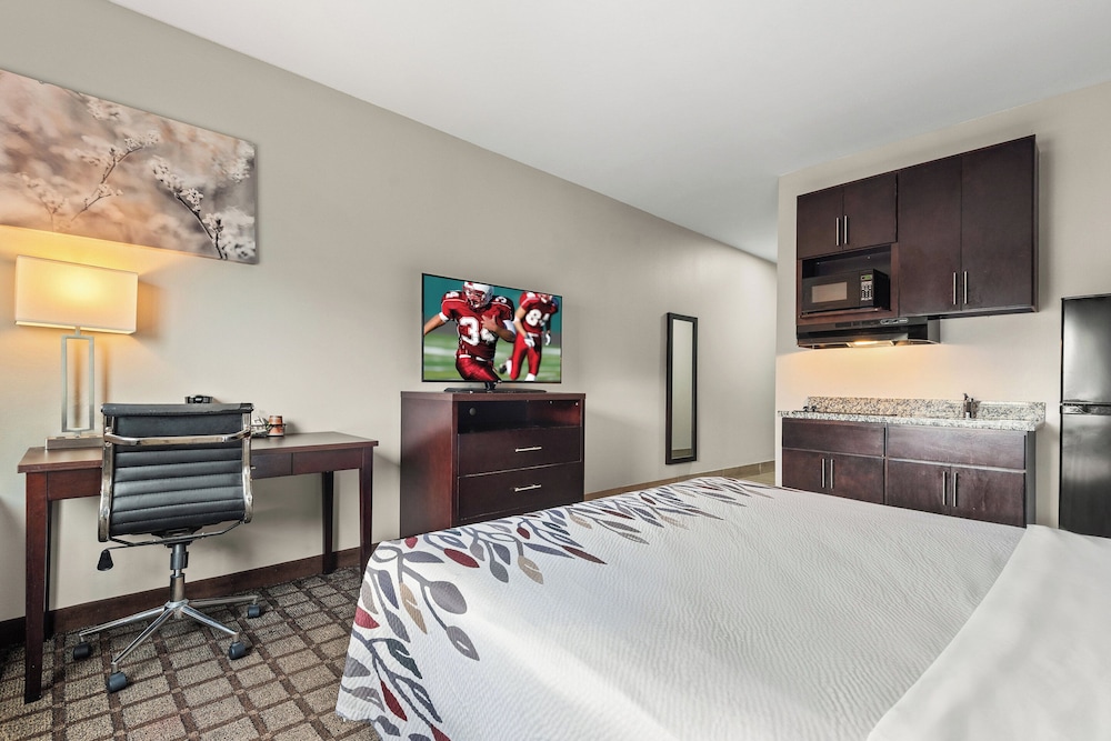Baymont by Wyndham Baton Rouge - photo 13