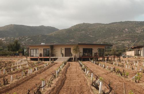 Casa Maul Valle de Guadalupe — 4-Star Luxury Hotel in Ensenada, Mexico