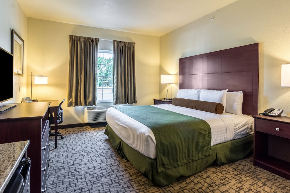 Cobblestone Hotel & Suites Greenville - photo 28