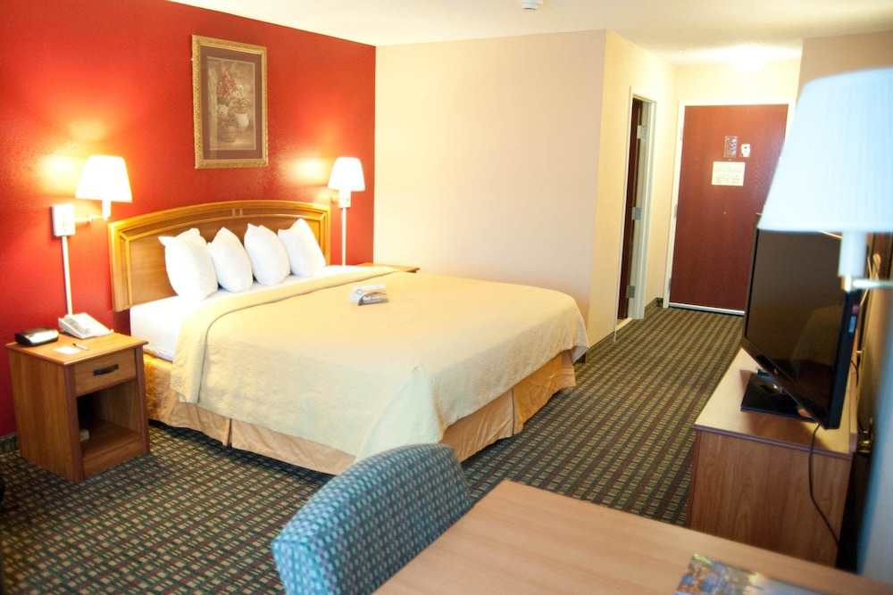 Quality Inn & Suites Airport - photo 8