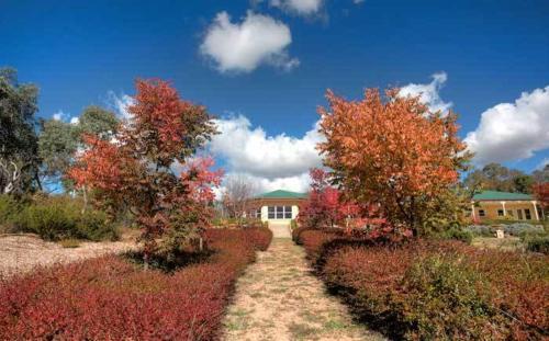 Accommodation Creek Cottages & Sundown View Suites — Stanthorpe — photo 4