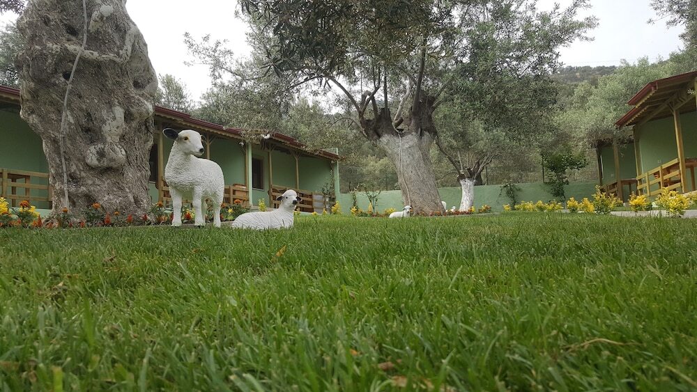 Balim Butik Hotel in Ayvacik, Turkey