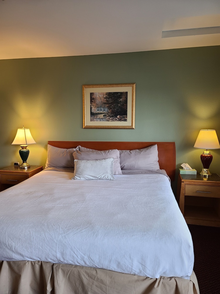 Tulip Inn - photo 13