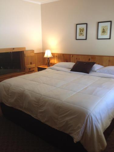 Wiley Inn - photo 32