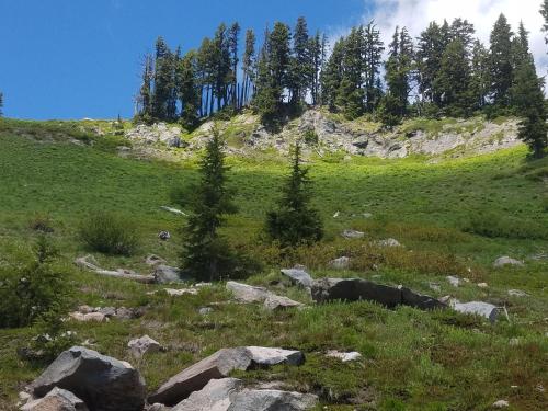 Cooper Spur Mountain Resort - photo 66
