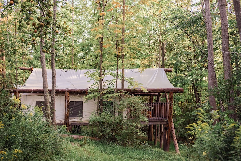 FireLight Camps - photo 13