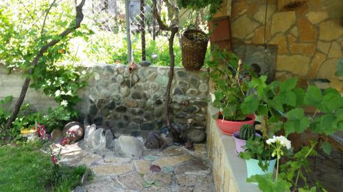 Guest House Ucha