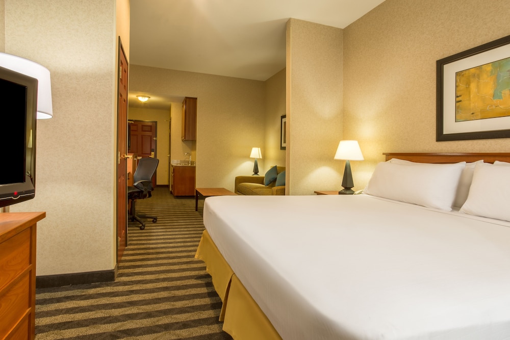 Holiday Inn Express Hotel & Suites Manteca by IHG - photo 9
