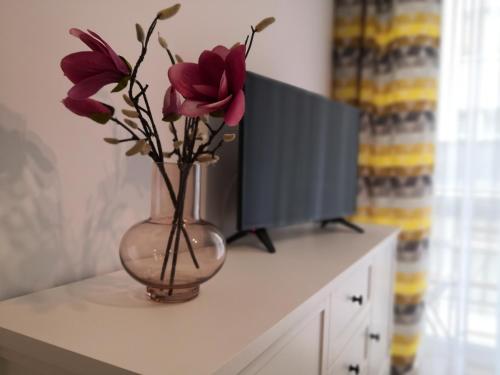 Apartament JOY — 4-Star Luxury Hotel in Swinoujscie, Poland