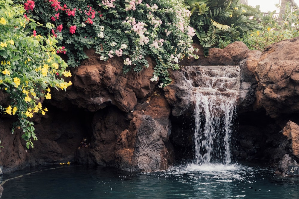 Four Seasons Resort Lanai - photo 45
