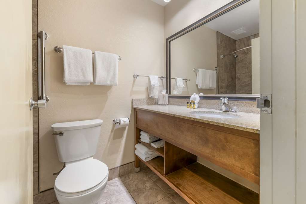 Best Western Plus Ramkota Hotel - photo 31