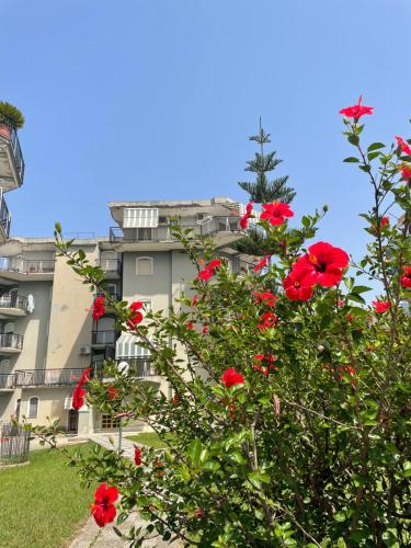 Savastano's Home — 4-Star Luxury Hotel in Scalea, Italy