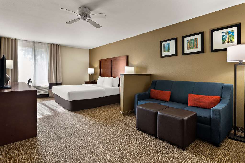 Comfort Inn & Suites Sequoia Kings Canyon - photo 27