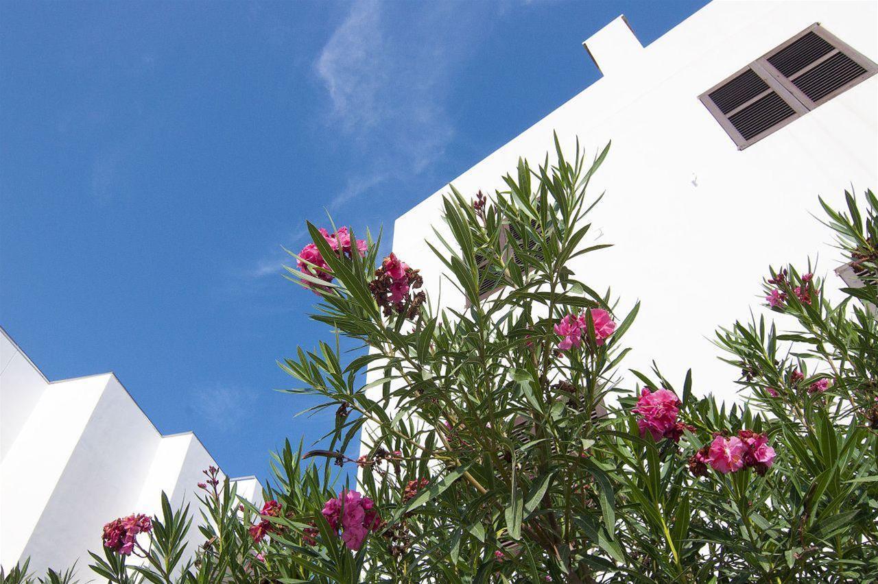 Apartamentos Pou Des Pujols — 4-Star Luxury Hotel in Sant Francesc De Formentera, Spain